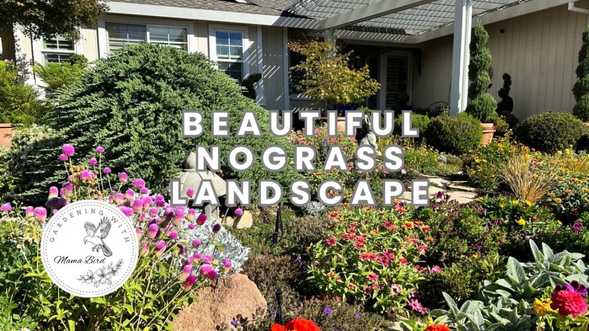 No grass front yard landscape ideas. Garden tour without grass. #Landscape without a lawn