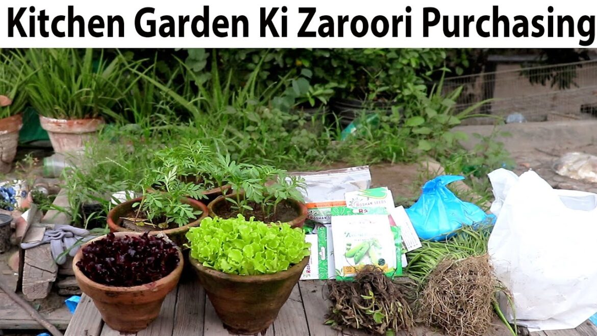 Shopping for kitchen Garden | zarori Cheezain Garden Mei Grow Karne K liye Shopping for kitchen Garden | zarori Cheezain Garden Mei Grow Karne K liye