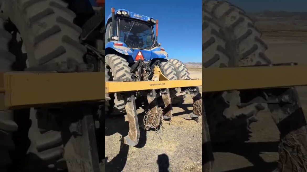 #agriculture #youtubeshorts #farming #noamancreation #farmforsale