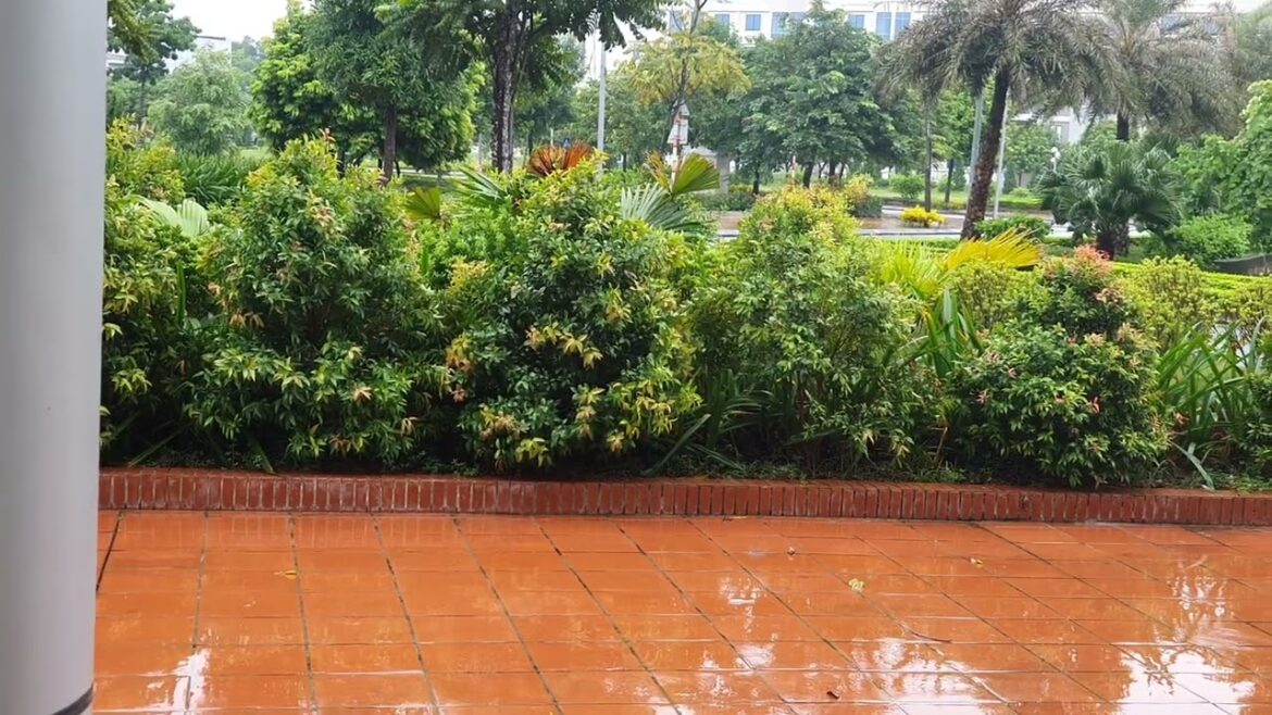 Seasonal Gardening: Adapting to Nature's Rhythms