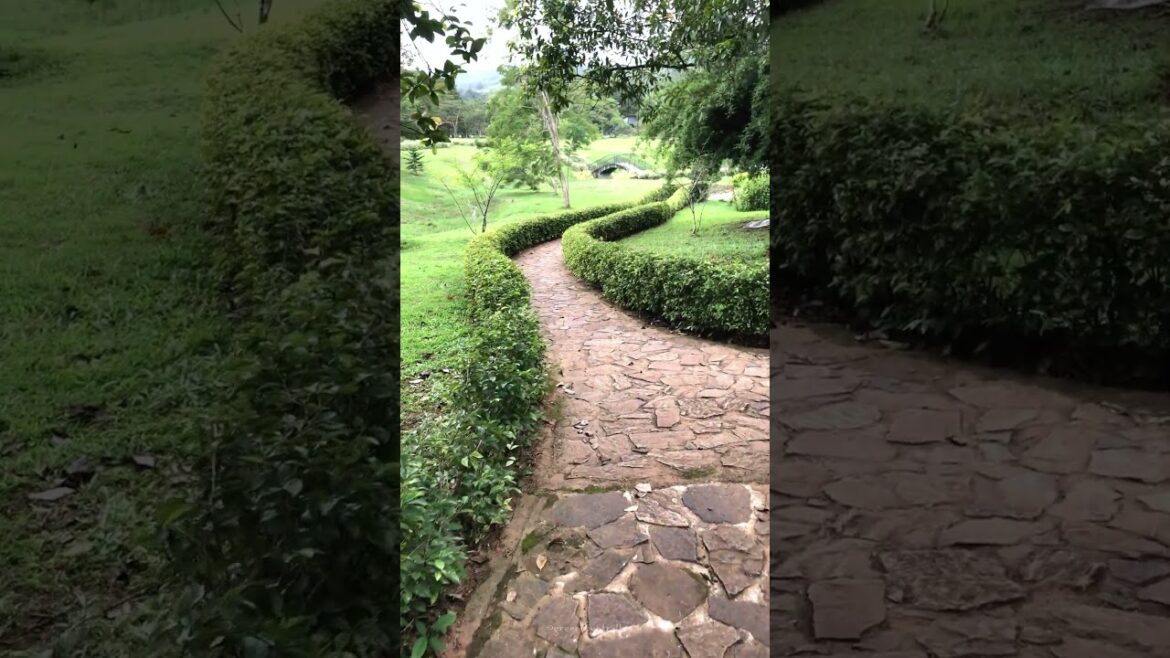 Beautiful Walking Path to Garden #garden #design Beautiful Walking Path to Garden #garden #design