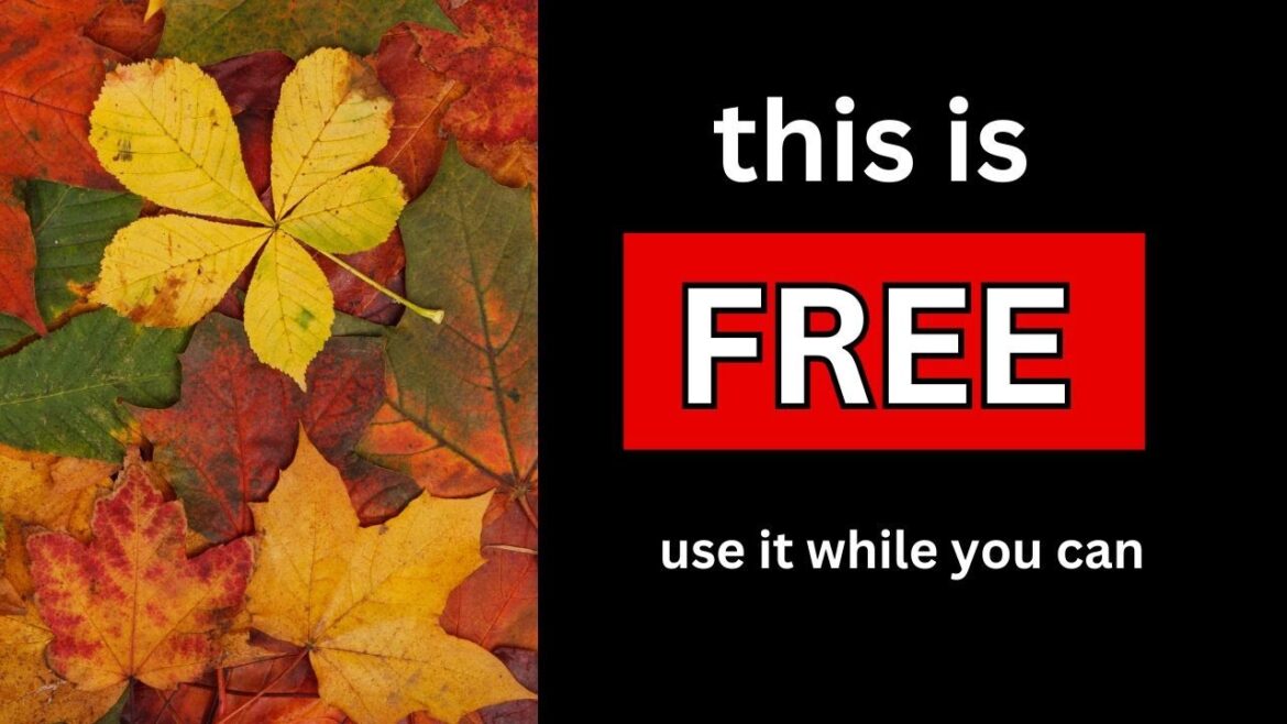 The Benefits of Leaf Mold Compost: How to Make and Use It in Your Garden