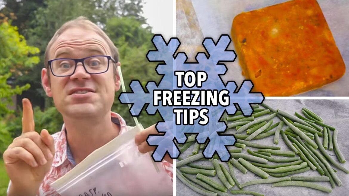 Top Tips for Freezing Garden Produce Top Tips for Freezing Garden Produce