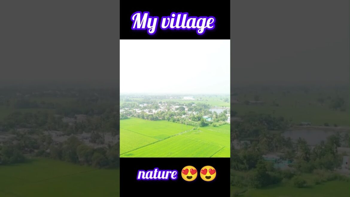 #shorts | #nature #myvillage |My village| #short |#shortvideo