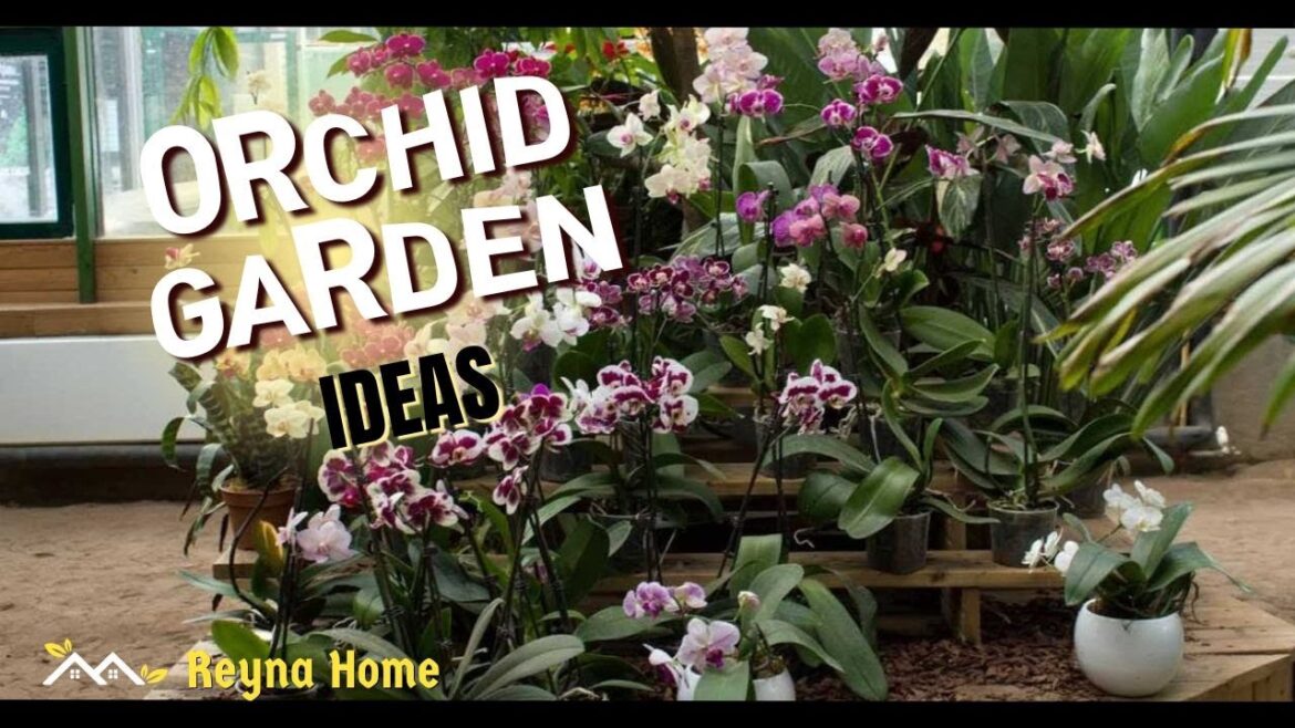 Orchid Garden Ideas for Exotic Garden Design and Backyard Orchid Garden Ideas for Exotic Garden Design and Backyard