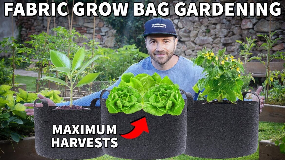 How To Use Fabric GROW BAGS For The Container Garden Of Your Dreams How To Use Fabric GROW BAGS For The Container Garden Of Your Dreams