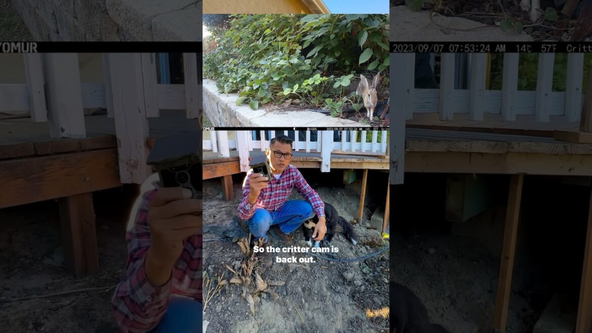 What’s under the deck?