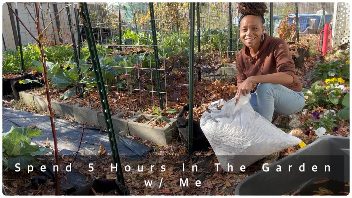 When Fall Comes – Ep. 7 | Tackling Strawberry Plants & Compost | Mulch For Winter (Cold Motivates) When Fall Comes - Ep. 7 | Tackling Strawberry Plants & Compost | Mulch For Winter (Cold Motivates)