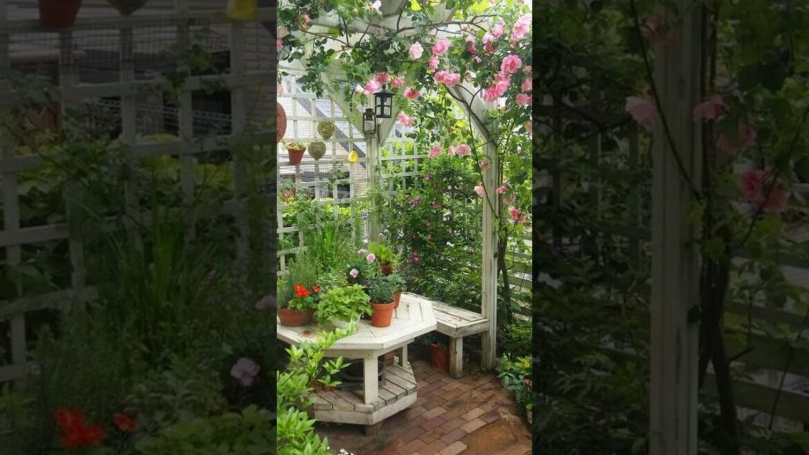 Inspiring ideas for garden #garden