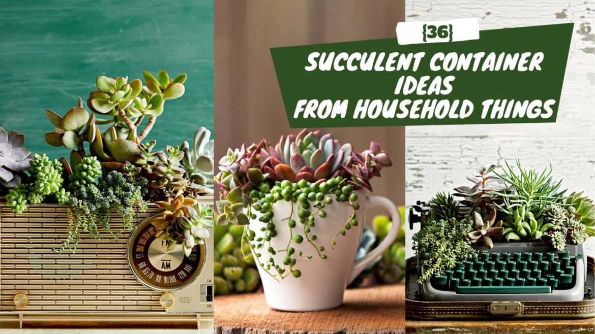36 {Free} Succulent Container Ideas and Projects from Household Things 36 {Free} Succulent Container Ideas and Projects from Household Things