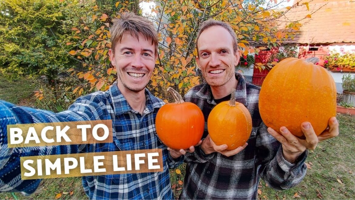 Times are changing | Fall on our homestead (slow living in rural Europe)