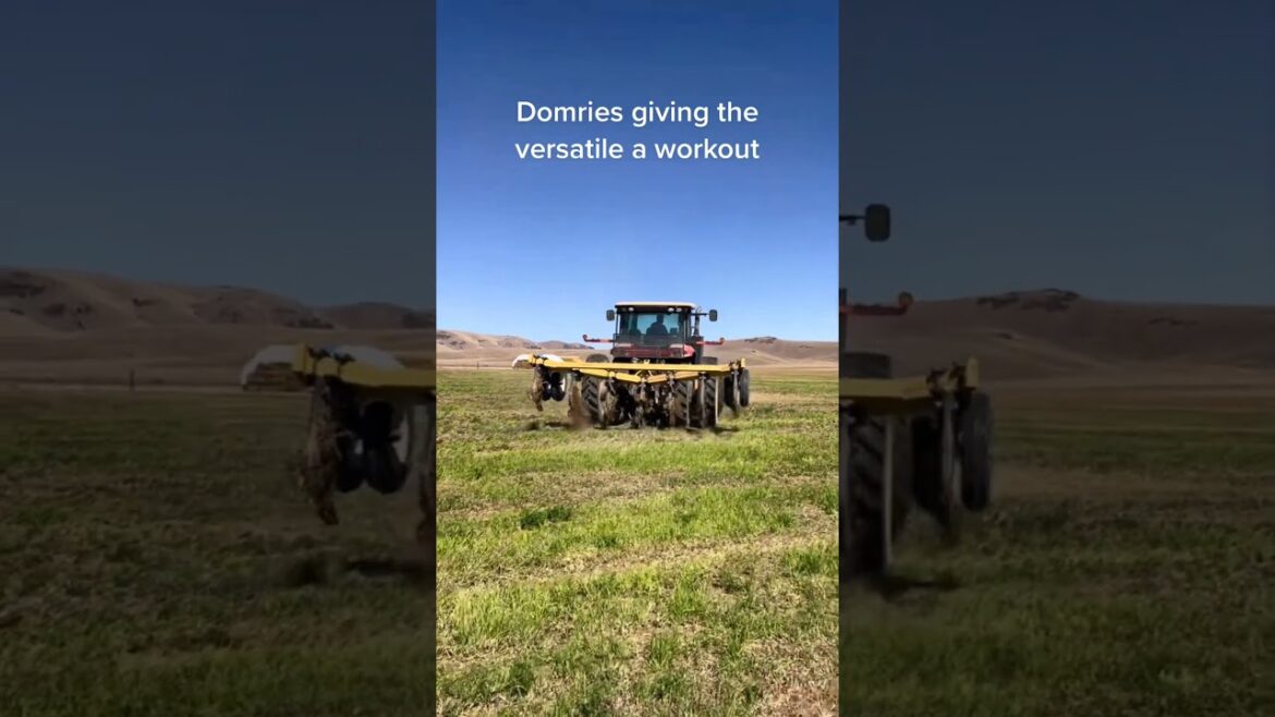 #agriculture #youtubeshorts #farming #noamancreation #farmforsale