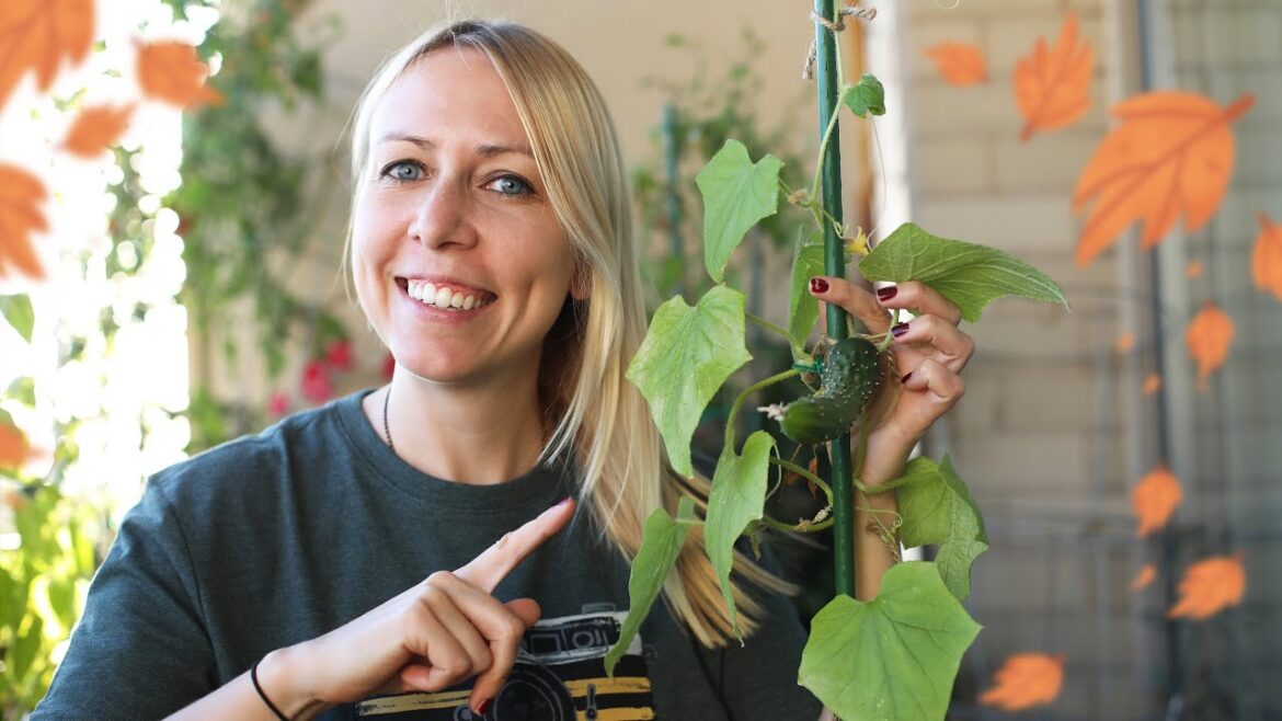 My FALL balcony garden tour - Urban vegetable container gardening in October 2020