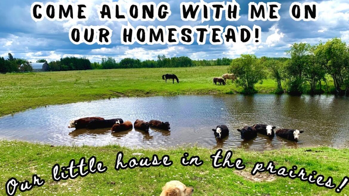 Year In The Life on a Farmstead/Acreage