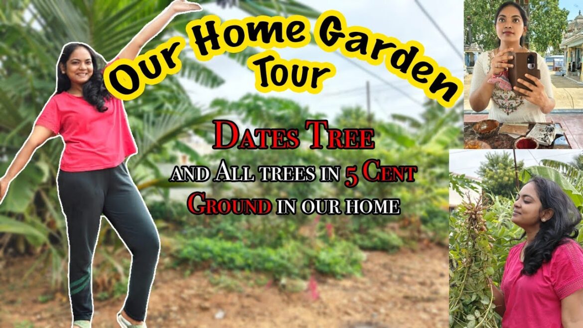 Our Home garden tour | Love gardening |Aaroma family | Rohini #garden #gardening