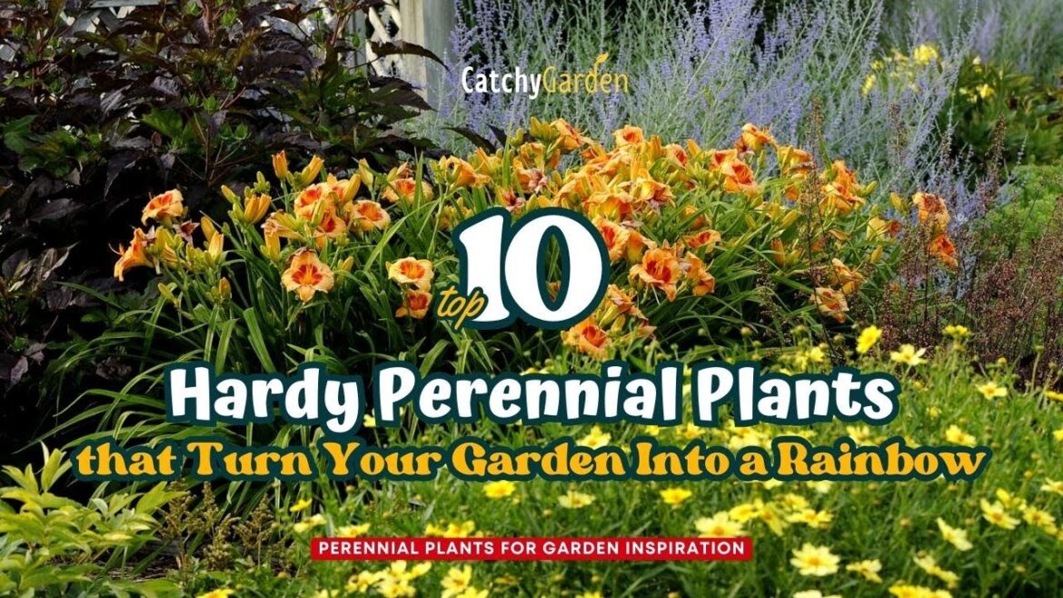 Top 10 Perennial Plants That Turn Your Garden Into a Rainbow 🌸🌈 🌻