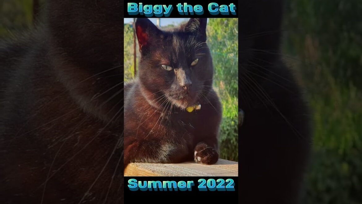 Plymouth Garden Landscape Project – Victoria Park Plymouth Garden Landscape Project - Victoria Park