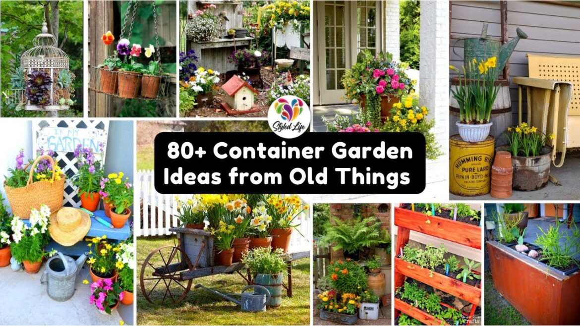 80+ Best Container Garden Ideas from Old Things 80+ Best Container Garden Ideas from Old Things