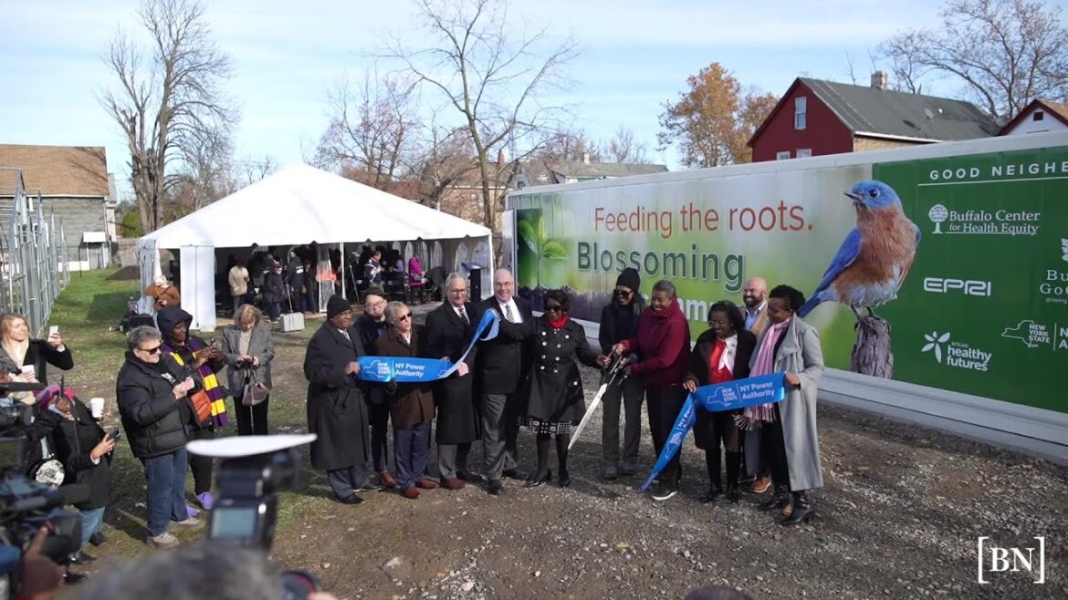 New container garden at Buffalo Go Green Urban Farm