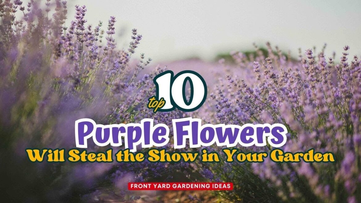 10 Purple Flowers That Will Steal the Show in Your Garden 💐🌷👍