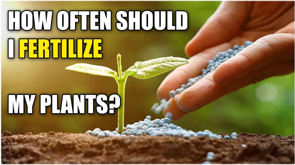 The Art and Science of Fertilizing Plants: A Comprehensive Guide to Frequency and Methodology The Art and Science of Fertilizing Plants: A Comprehensive Guide to Frequency and Methodology