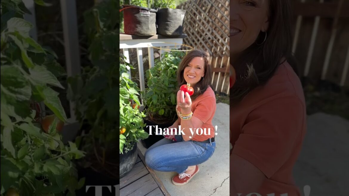 From our Garden to Yours…