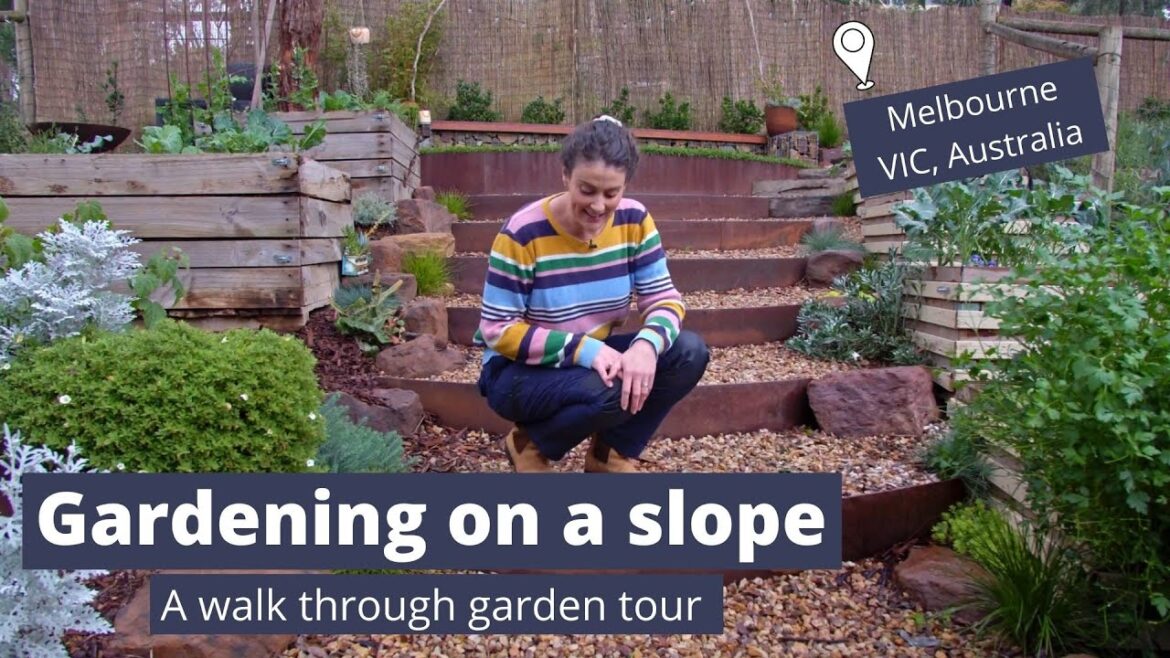 Gardening on a slope – As seen on Gardening Australia – Sloped Garden Ideas – Garden Tour Gardening on a slope - As seen on Gardening Australia - Sloped Garden Ideas - Garden Tour