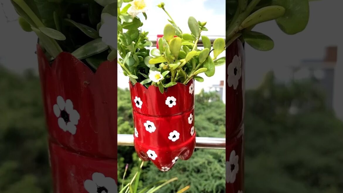 Hanging Planter Pot Making Ideas Using Waste Plastic Bottles π |#gardening #garden #shorts #viral Hanging Planter Pot Making Ideas Using Waste Plastic Bottles π |#gardening #garden #shorts #viral
