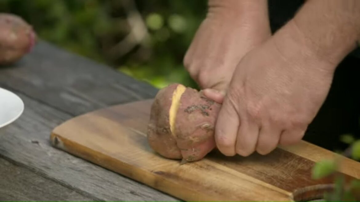 How to Grow Kūmara | Mitre 10 Easy As Garden