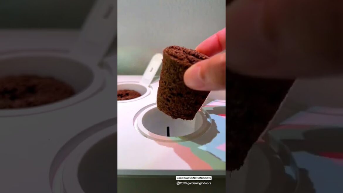 garden batman | garden city | garden cartoon #shortvideo #gardening #viral #shortsfeed