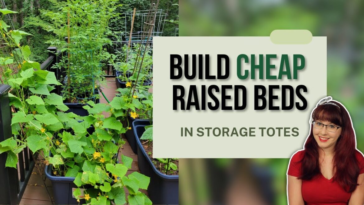Build a Cheap Raised Bed in a Tote | Easy Container Gardening Build a Cheap Raised Bed in a Tote | Easy Container Gardening