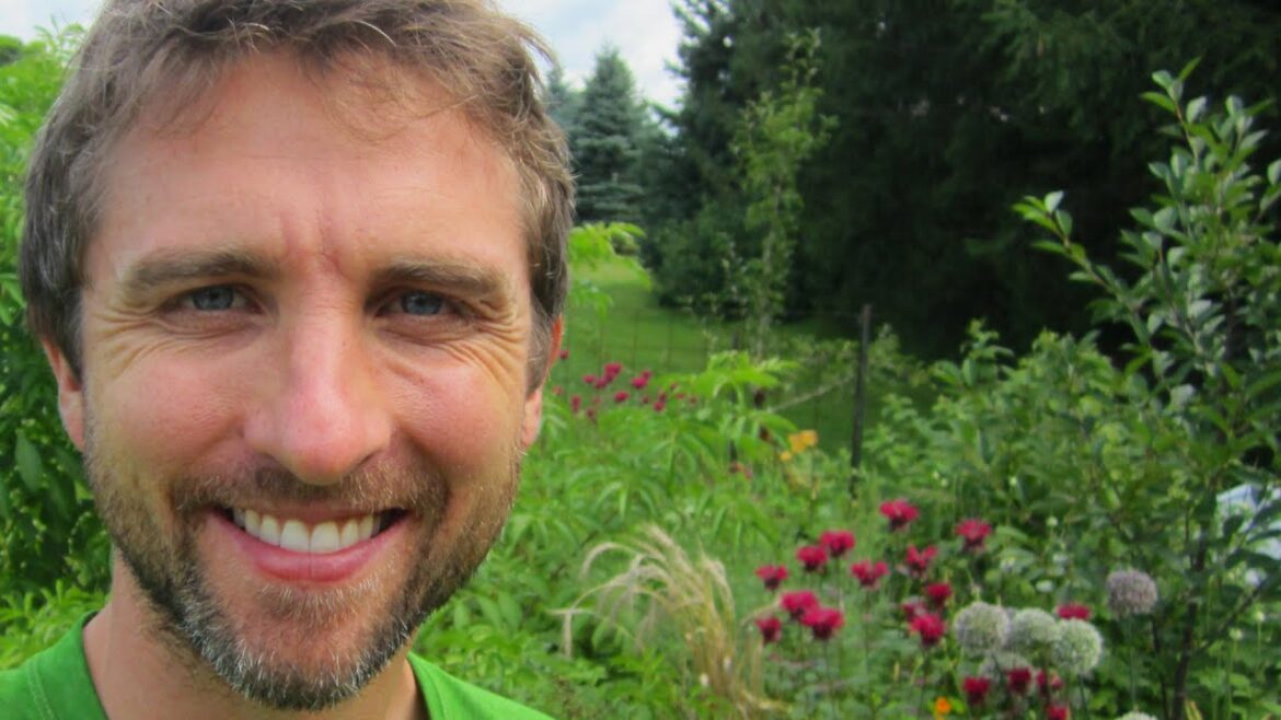 3 Organic Gardening Tips (Some Of Them You Haven’t Heard Before) 3 Organic Gardening Tips (Some Of Them You Haven't Heard Before)