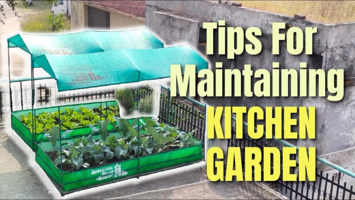 Rooftop Garden Design Ideas || What is the concept of Rooftop Garden?