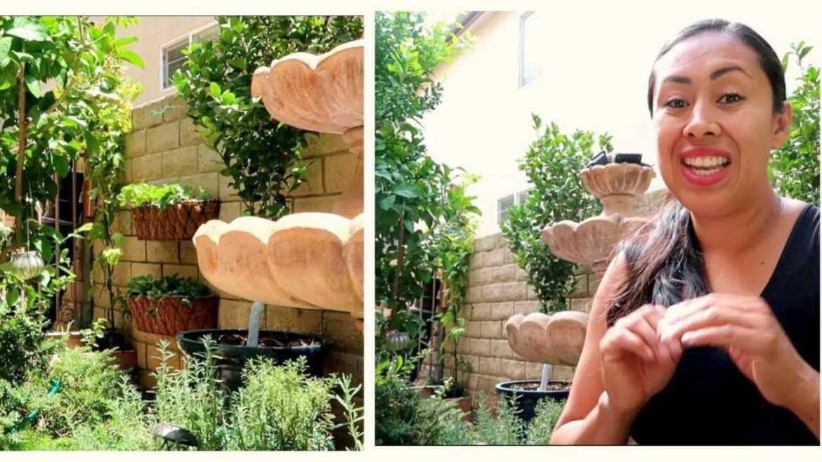 Urban Edible Garden/ Maximizing your Urban Garden Urban Edible Garden/ Maximizing your Urban Garden