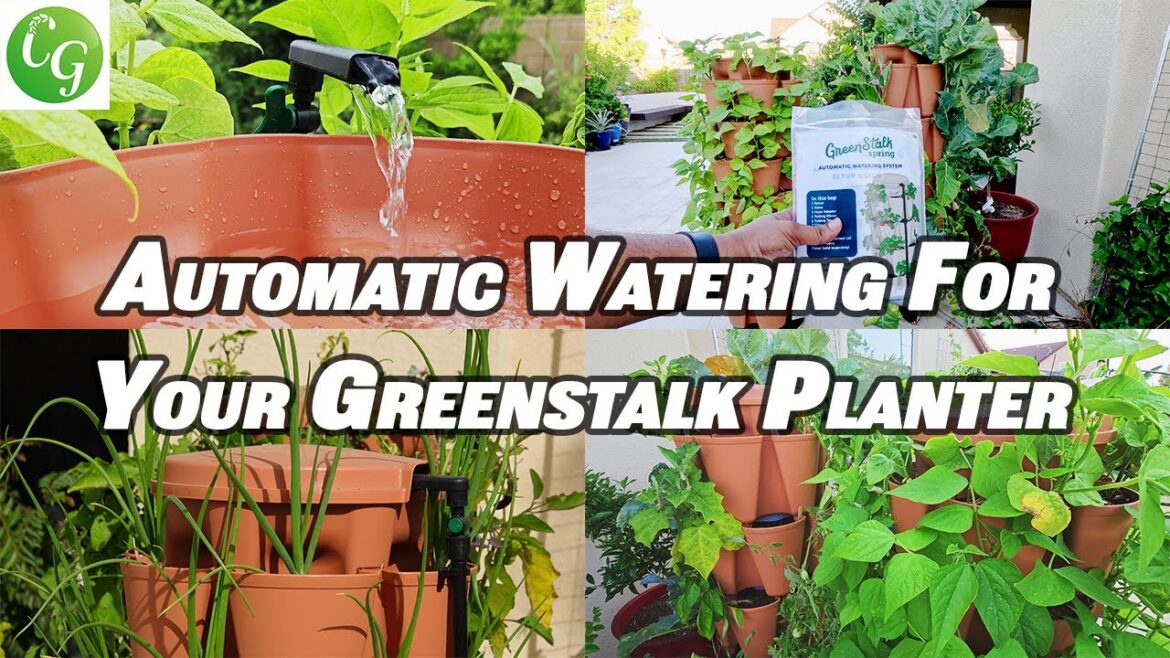 California Gardening: Automatic Watering System For Your GreenStalk Garden Vertical Planter Automatic Watering System For Your GreenStalk Garden Vertical Planter