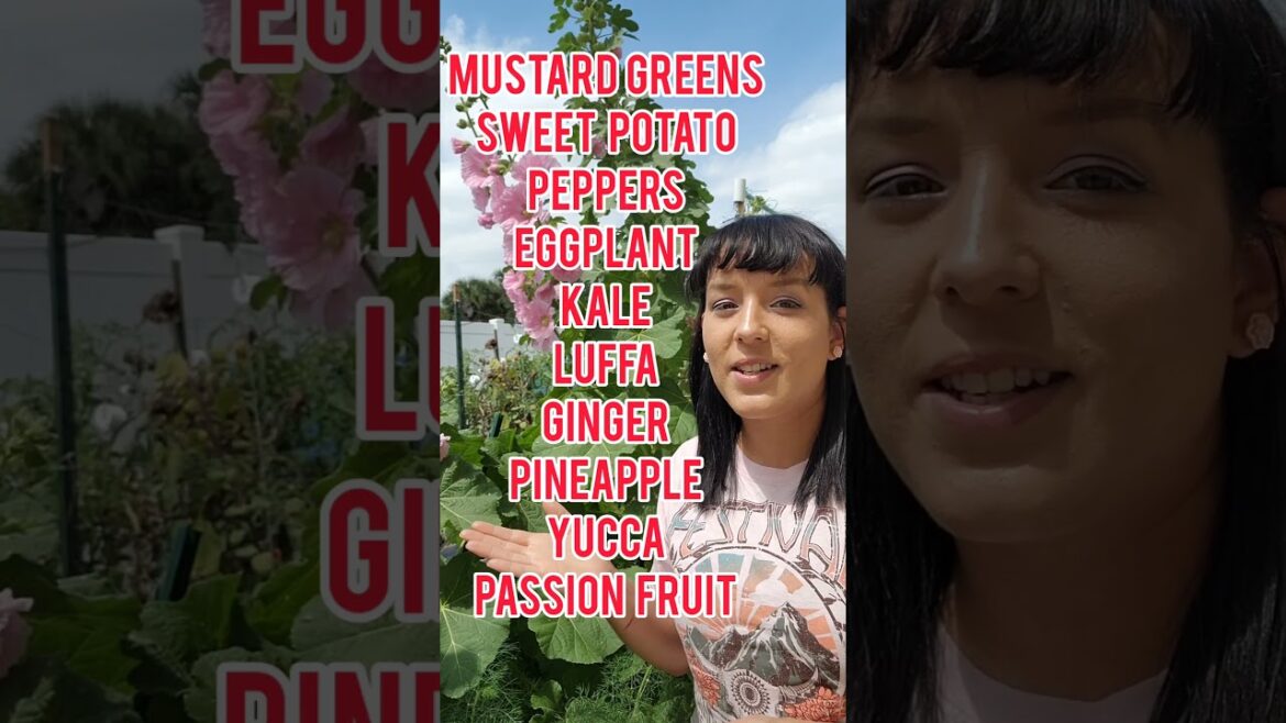 What to plant or start from seed in your April garden #gardening #homestead #vegetablegarden #plants