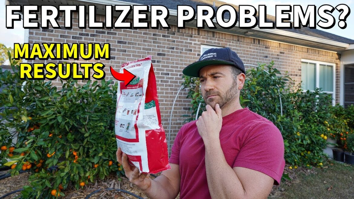 Is This Popular Fertilizer FAILING Your Vegetable Garden? Is This Popular Fertilizer FAILING Your Vegetable Garden?