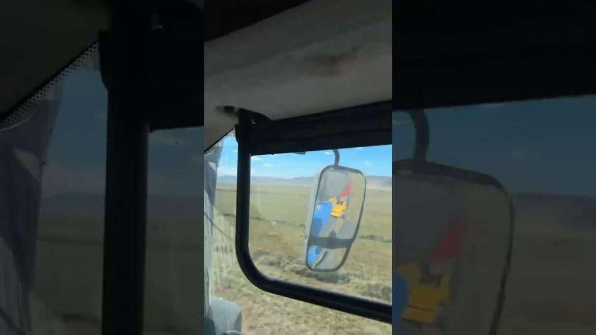 #agriculture #youtubeshorts #farming #noamancreation #farmforsale