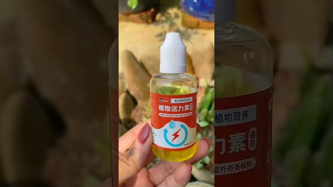 Achieve inner peace and stress relief with these flower gardening tips at home Ep 105 #diy #craft