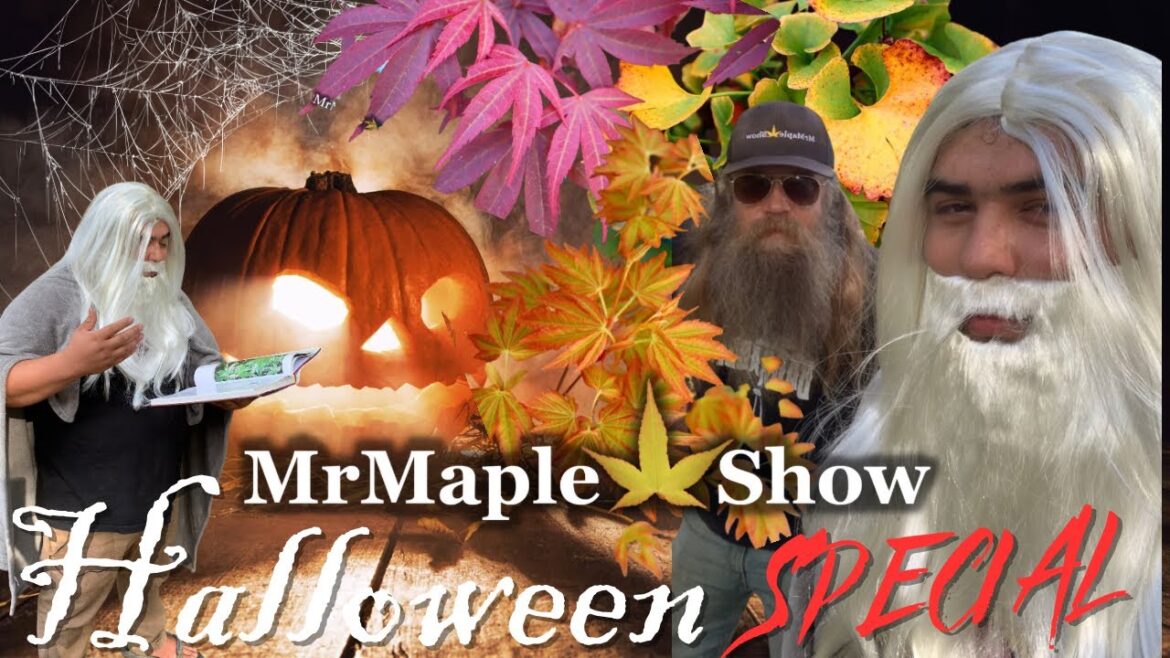 Corbin & Sean’s Wizardly Maples of Fantasy! A very Special MrMaple Halloween Special!