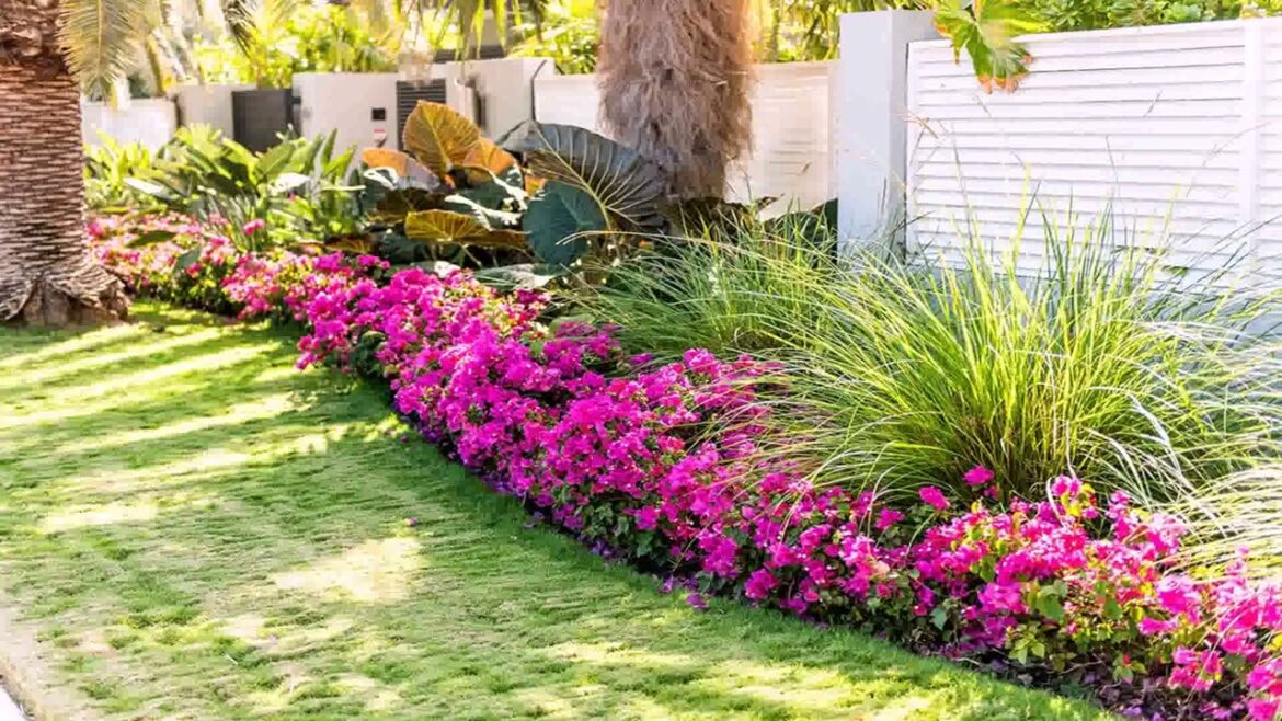 Front Yard Ideas In Florida