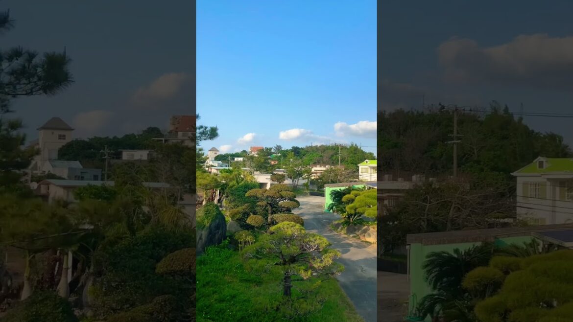 Secrets of Serene Japanese Gardens #okinawa #japanese #garden #shorts #traveljapan