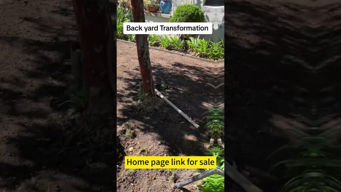 Backyard Transformation #landscape #artificialgrass #artificialturf #garden Backyard Transformation #landscape #artificialgrass #artificialturf #garden