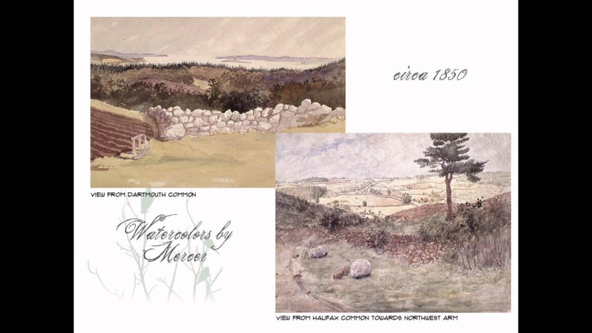 Edible Landscaping   How to transform your yard into a food forest