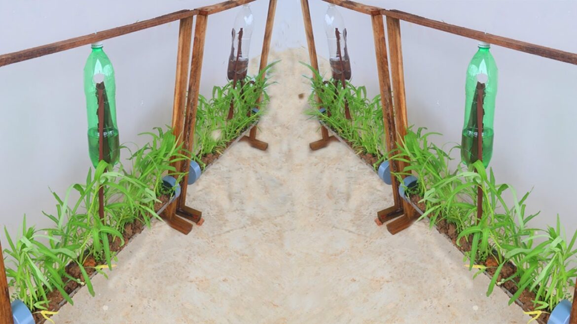 How to recycle pvc pipes to have a vegetable garden at home