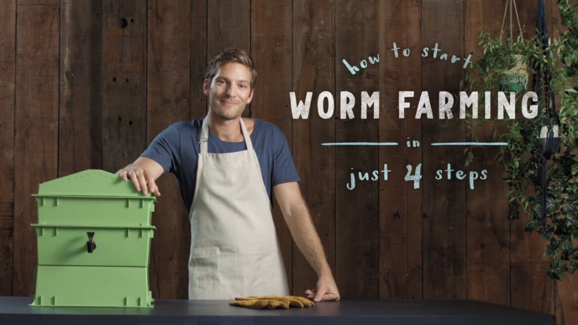 How to start a worm farm in 4 steps: vermiculture made easy How to start a worm farm in 4 steps: vermiculture made easy