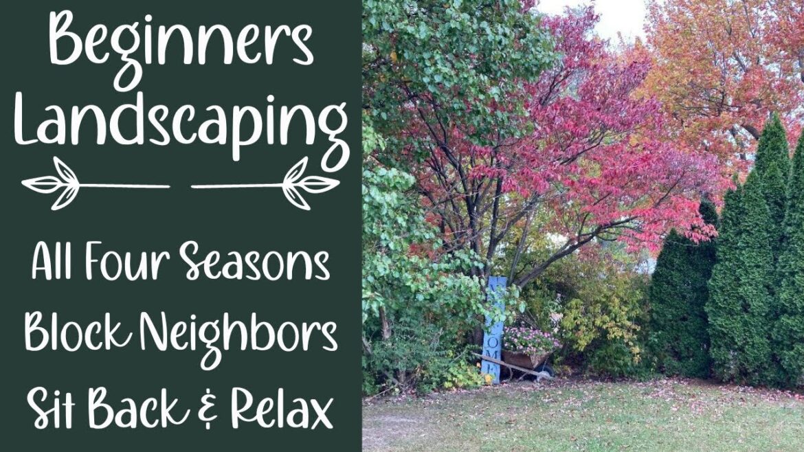 Front yard tree landscaping. #frontyard #tree #treephotography #smallspacegarden #landscaping Front yard tree landscaping. #frontyard #tree #treephotography #smallspacegarden #landscaping