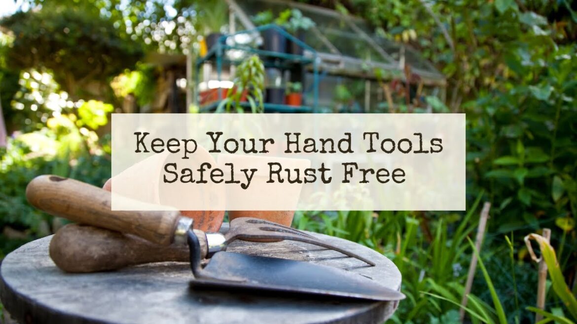 ~How to Keep Your Garden Tools Safely Rust Free ~ Which Oil is Best (and worst) and Why ~
