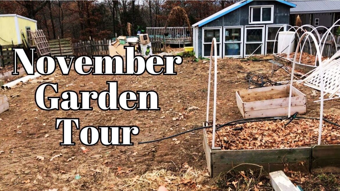 November Garden Walk: Bed Redesign, Water Heaters, and Future Plans