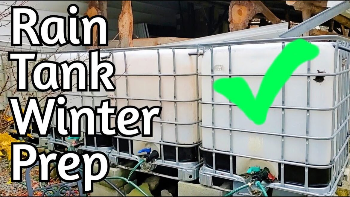Rain Water Collection - Prepping for Winter